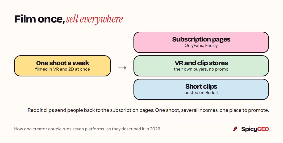 How one shoot feeds several platforms: one weekly video becomes VR and 2D versions for subscription sites, clip and VR stores, and short promo clips for Reddit that send traffic back to the main pages